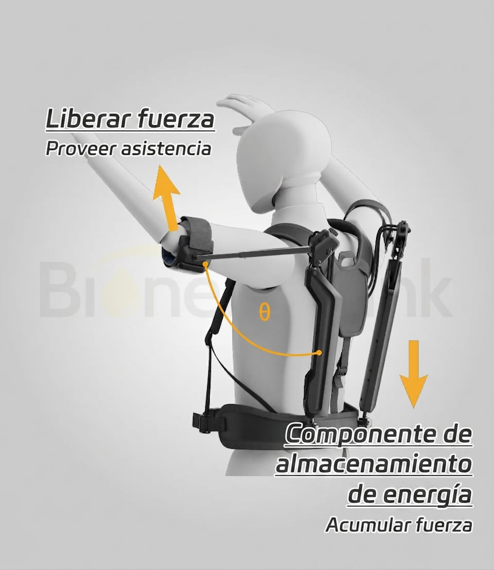 Asistencia para Trabajo en Altura Exoskeleton